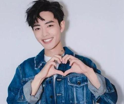 肖战关系爆料最新,揭秘明星背后的情感纠葛  第2张